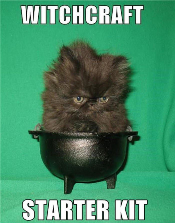 witchcraft starter kit funny picture