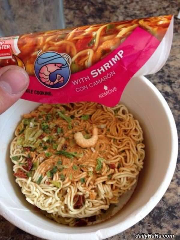 with shrimp funny picture