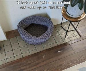 woke up to this ... 2