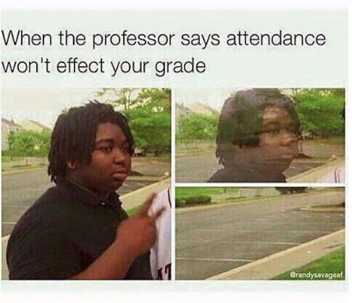 wont effect your grade funny picture