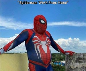 work from home ... 2