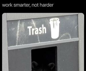 work smarter
