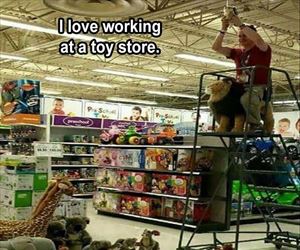 working at a toy store