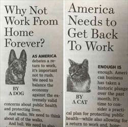 working from home ... 2