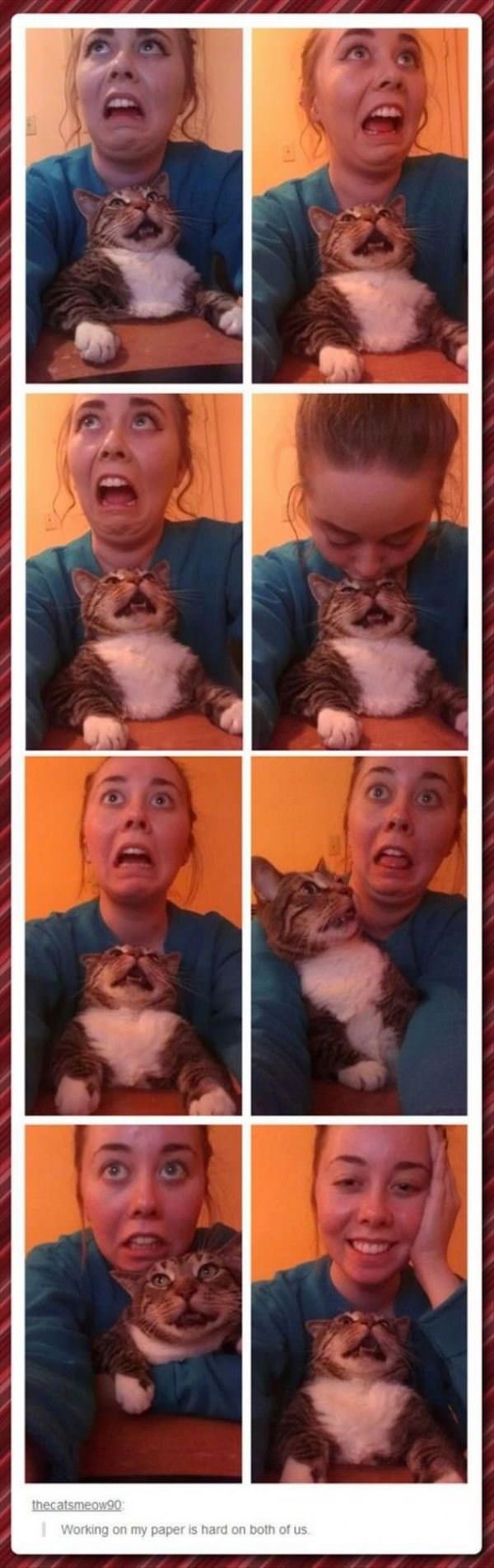 working on my paper funny picture