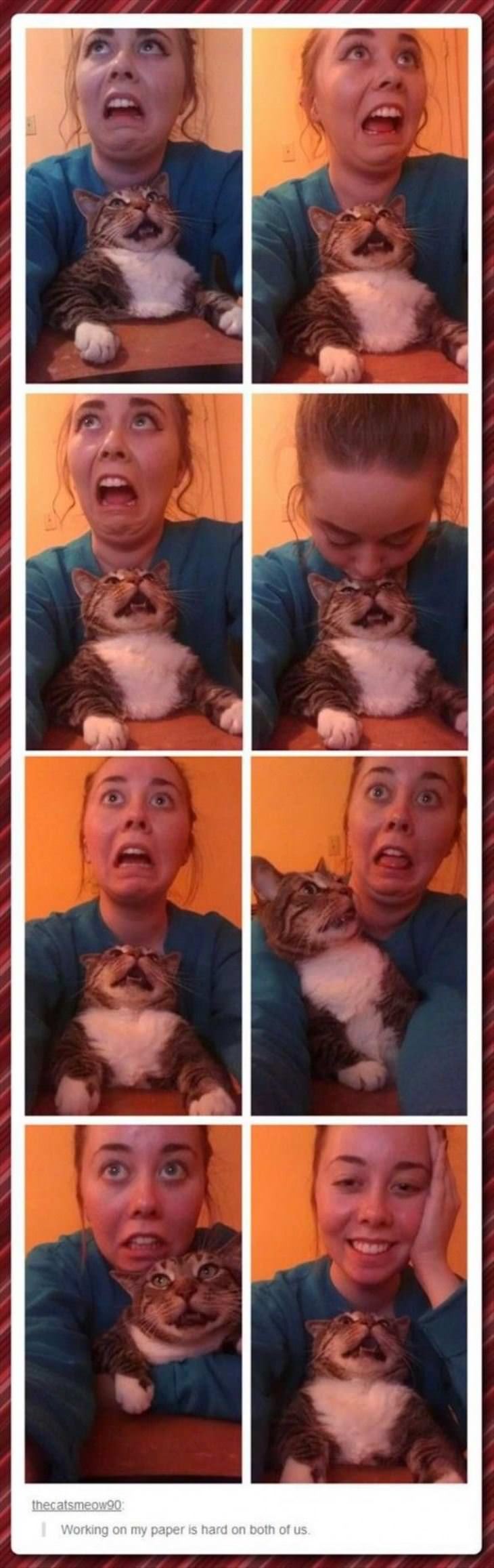 working on my paper funny picture