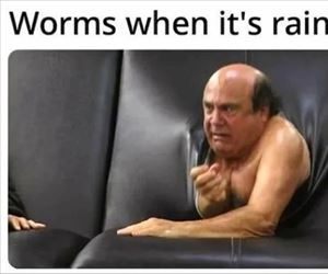 worms