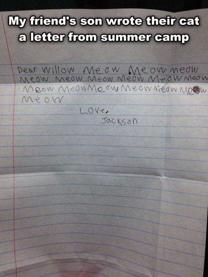 wrote a letter to the cat funny picture