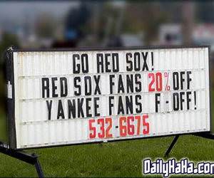 Yankees Fans
