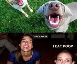 Yay Poop funny picture