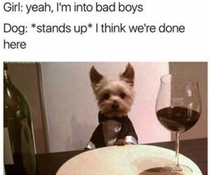 yea i am into bad boys funny picture
