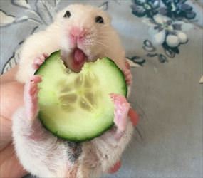 yeaaaaaaa this is so goood