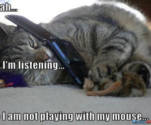 Mouse Play funny picture
