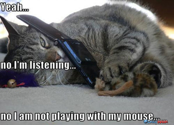 Mouse Play funny picture