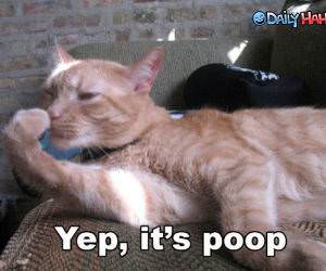 Yep, its Poop