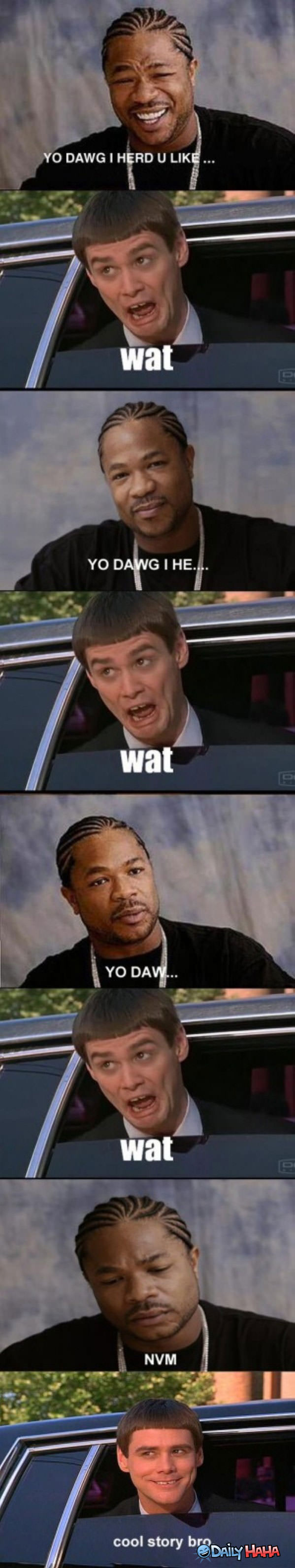 Yo Dawg WHAT funny picture