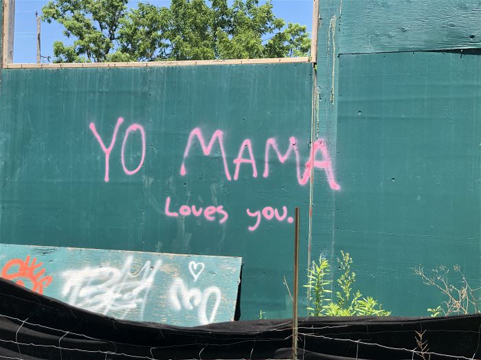 yo momma