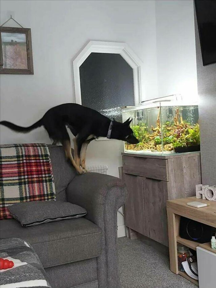 yo what you got here