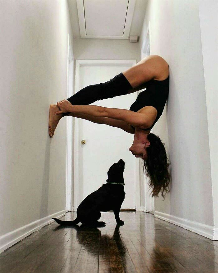 yoga with doggo