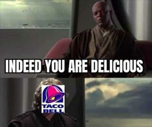 you are delicious