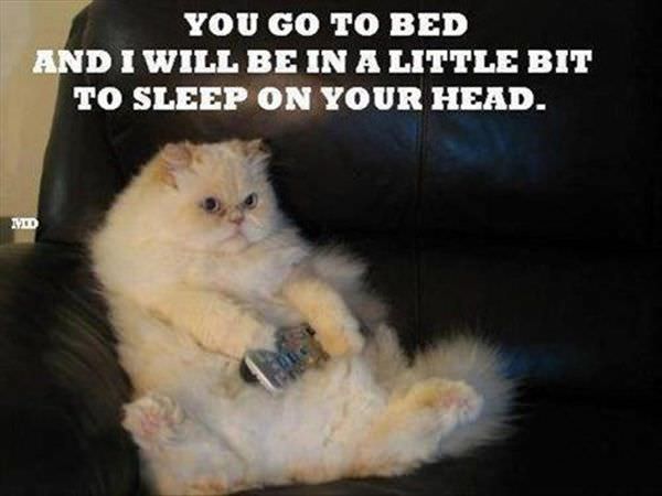 You Go To Bed funny picture