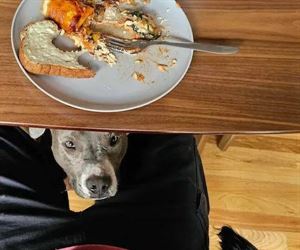 you gonna share