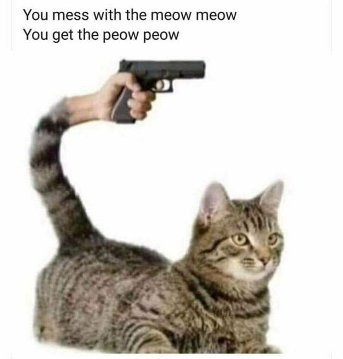 you hear meow