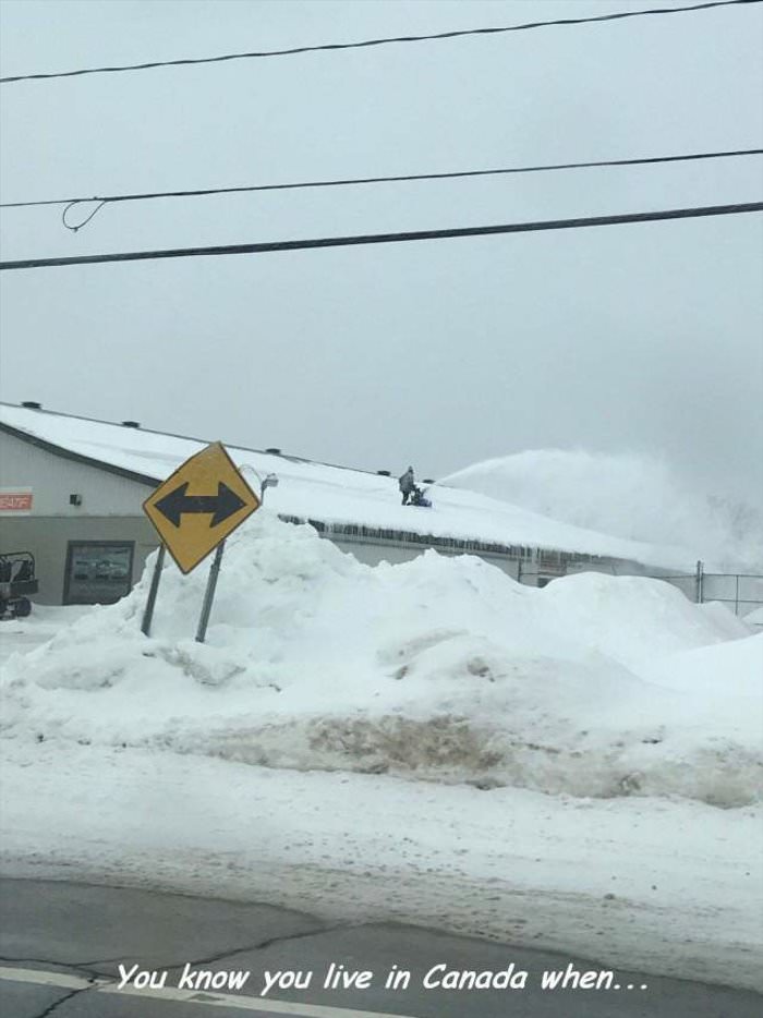 you know you live in canada when