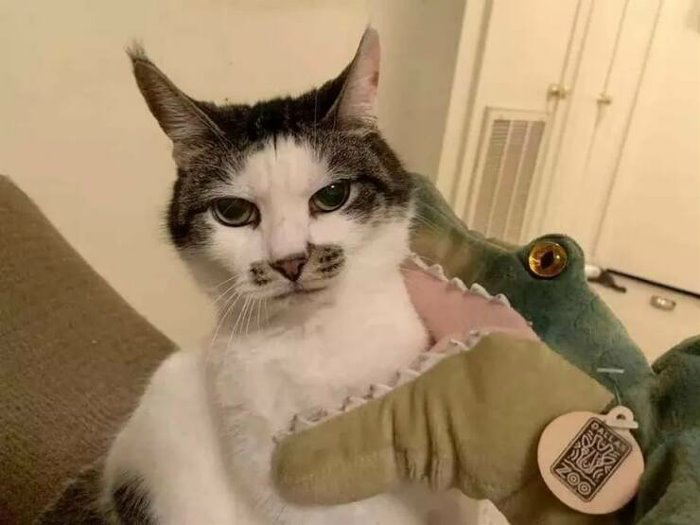 you think this is funny