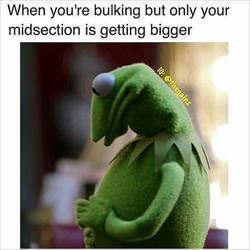 you-try-bulking-u