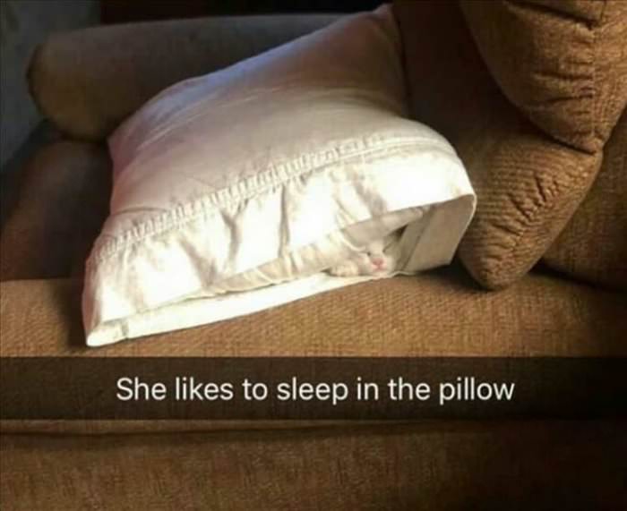 you-want-pillow