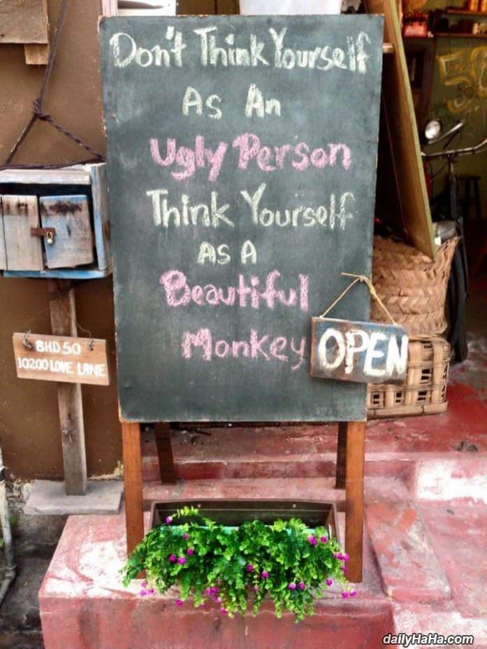 you are not ugly funny picture