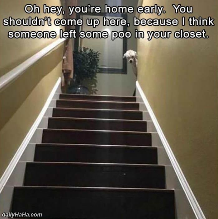you came home early funny picture