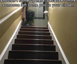 you came home early funny picture