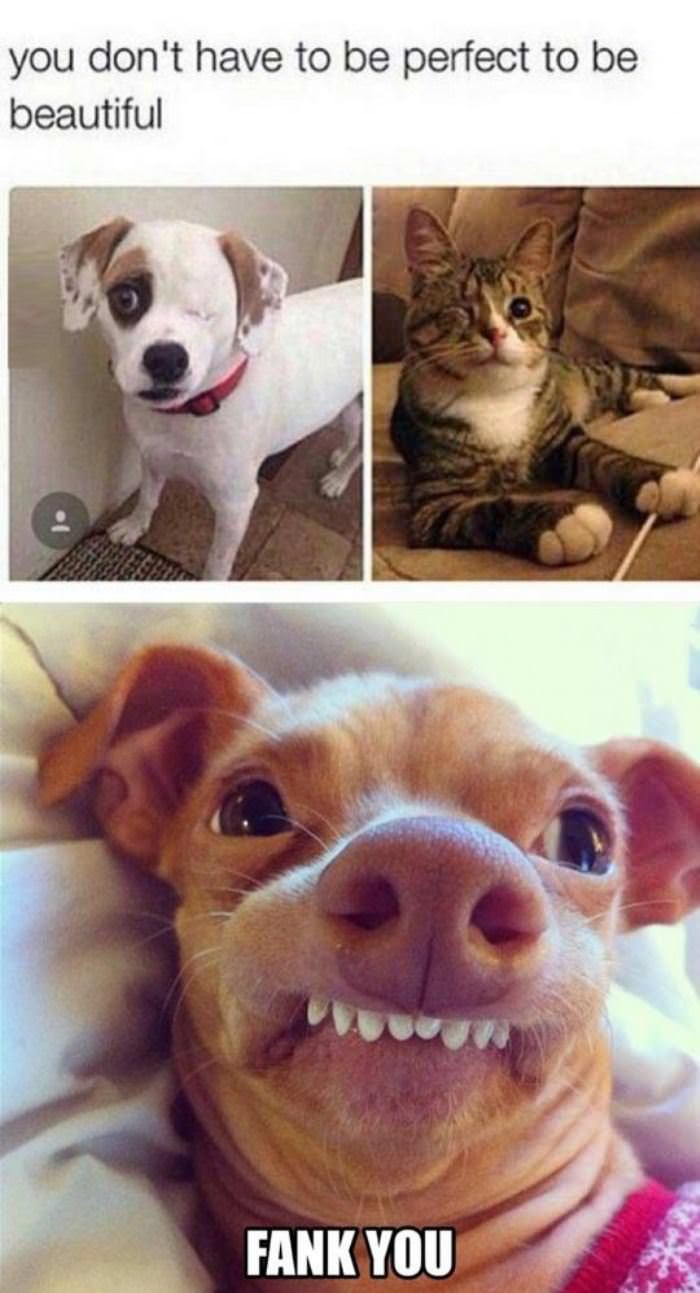  perfect to be beautiful funny picture