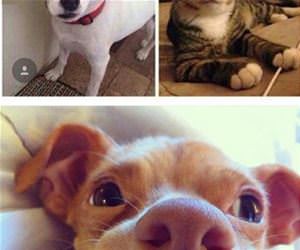  perfect to be beautiful funny picture