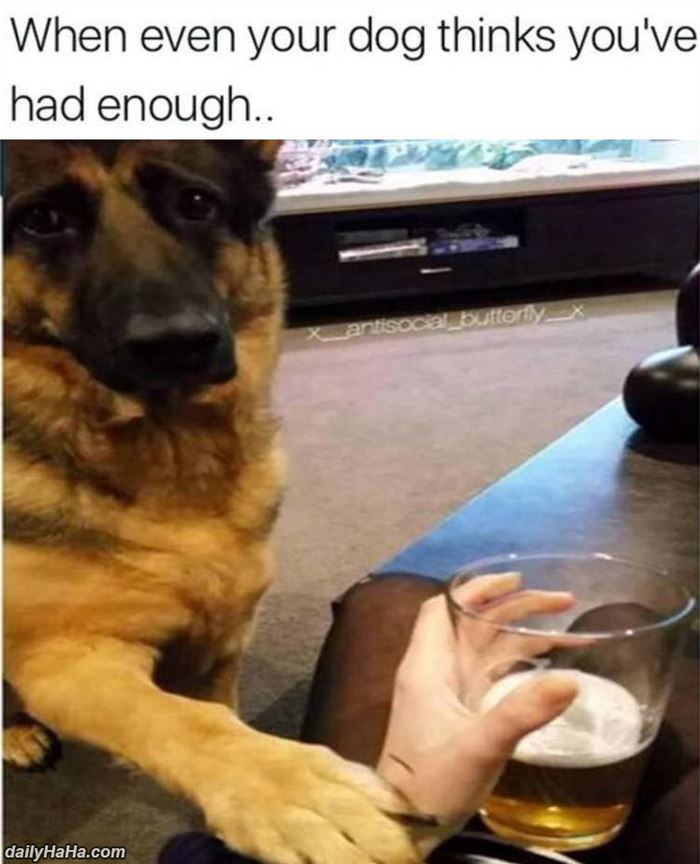 you have had enough funny picture