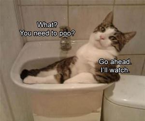 you need to pee funny picture