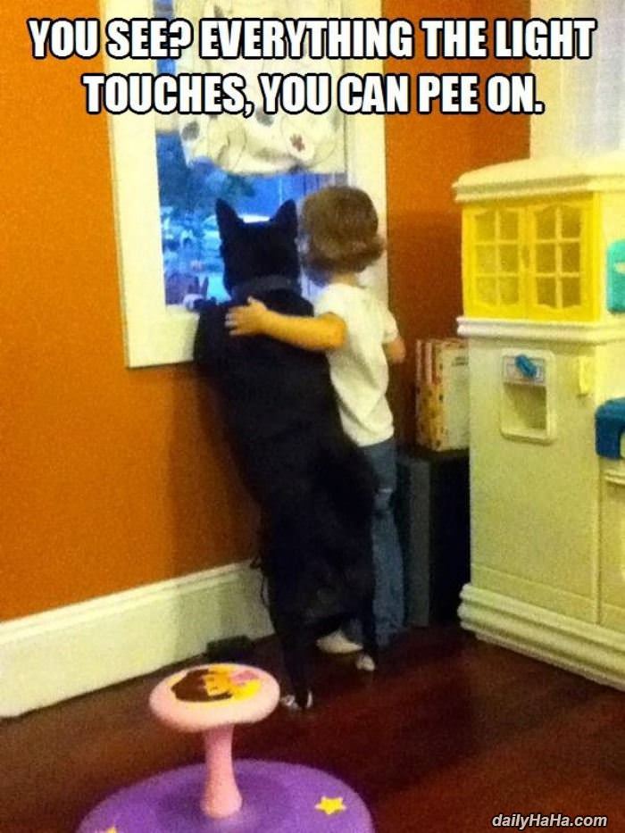 you see that funny picture