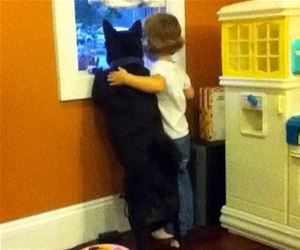 you see that funny picture