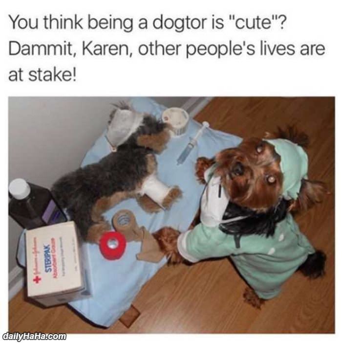 you think this is cute funny picture