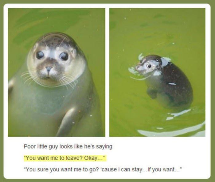 you want me to leave funny picture