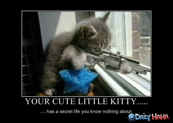 You Cute Kitty funny picture