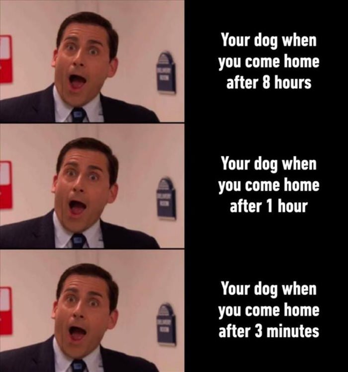 your dog ... 2
