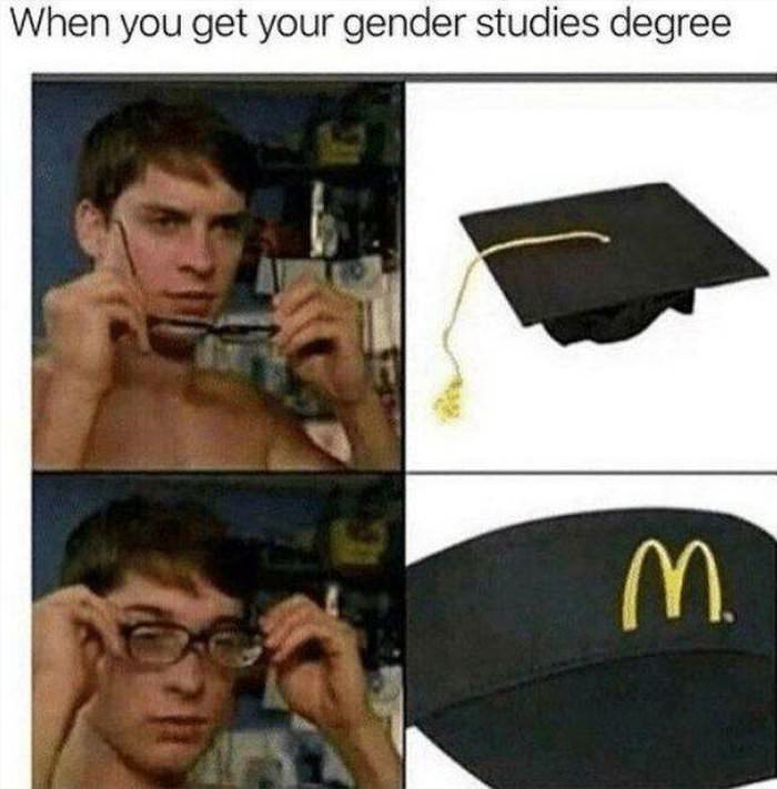 your gender studies degree
