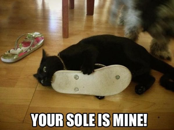 Your Sole funny picture