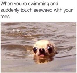 your toes