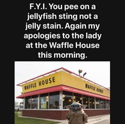your-waffle-house