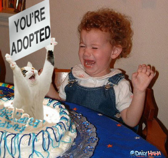 Your Adopted