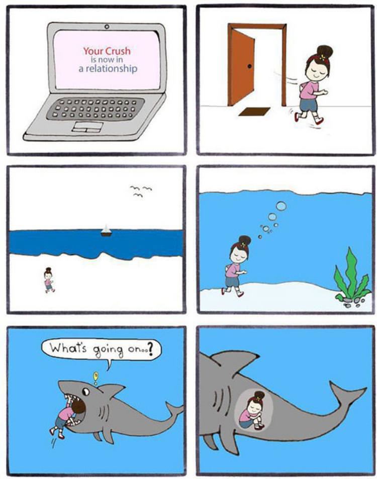 your crush is now funny picture